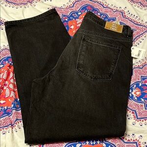 We The Free Women's Black High Rise Slim Straight Leg NWT